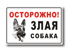Травмирование в результате укуса собак Травмирование в результате укуса собак.