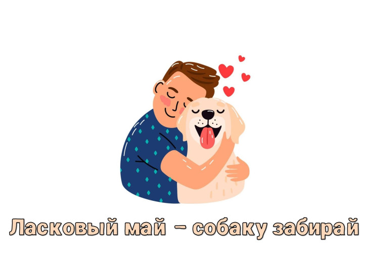 Зоозащитная акция «Ласковый май – собаку забирай» Зоозащитная акция «Ласковый май – собаку забирай».
