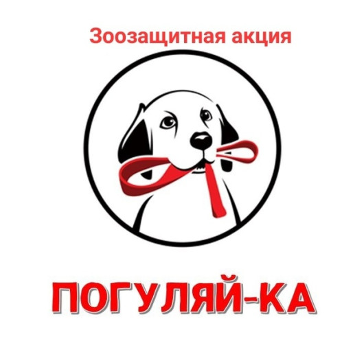 Зоозащитная акция "Погуляй-ка" в группе "Светлячок" Зоозащитная акция "Погуляй-ка" в группе "Светлячок".