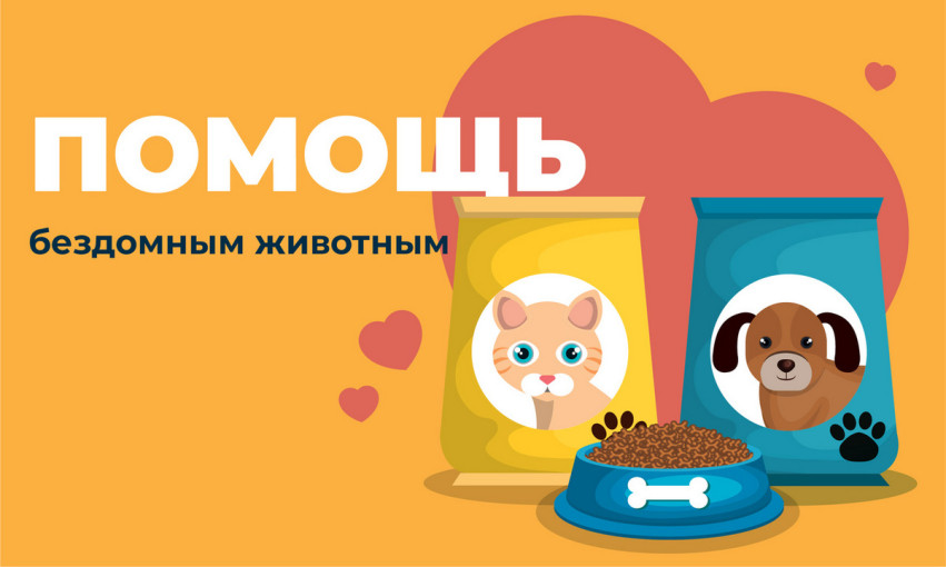Акция "Коробка добра для бездомных животных" Акция "Коробка добра для бездомных животных".